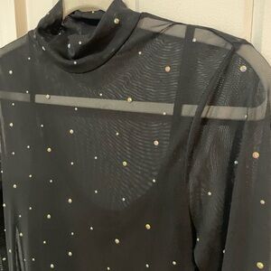 Wild Fable sheer dress